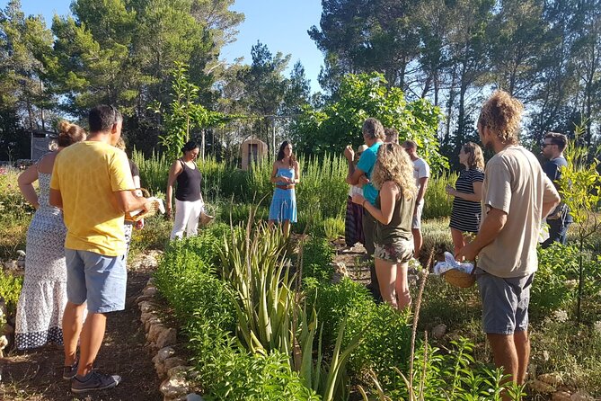 Aromatic Experience in the Medicinal Garden in Ibiza