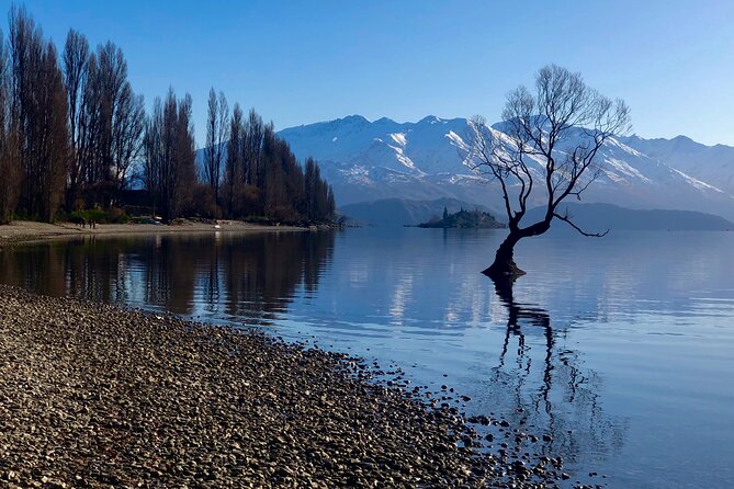 Arrowtown and Wanaka Highlights Tour From Queenstown