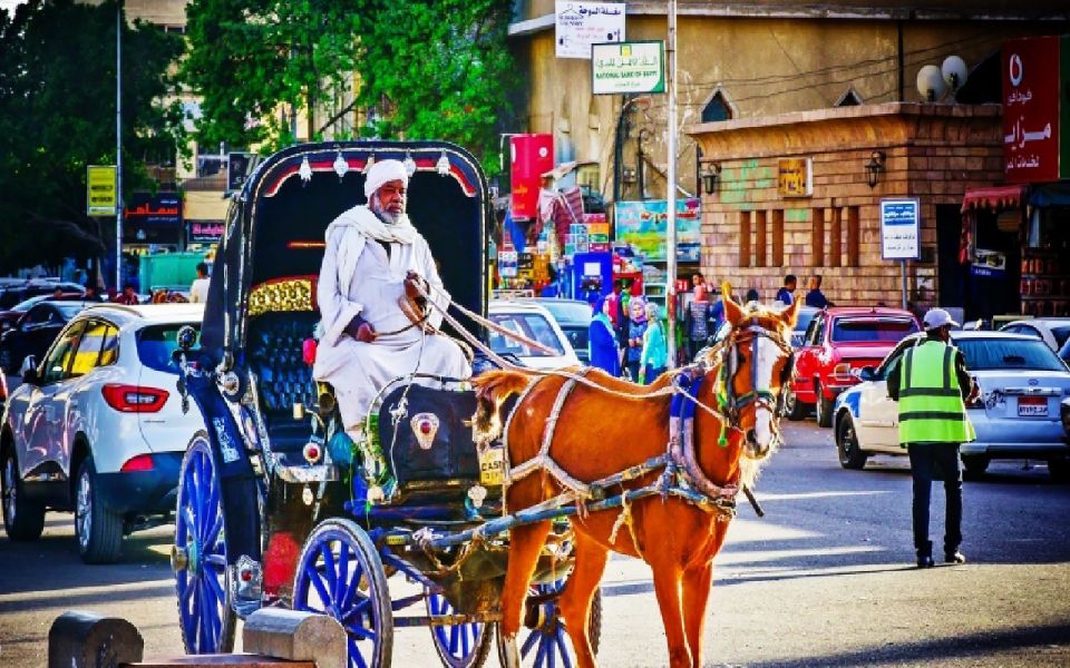 1 aswan private horse carriage city tour with hotel pickup Aswan: Private Horse & Carriage City Tour With Hotel Pickup