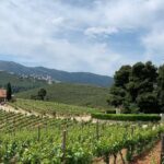 1 athens wine tour an outstanding full day experience for dedicated winelovers Athens Wine Tour - An Outstanding Full Day Experience For Dedicated Winelovers