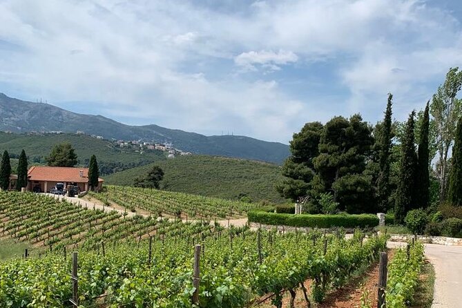 Athens Wine Tour – An Outstanding Full Day Experience For Dedicated Winelovers