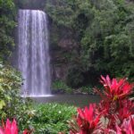1 atherton tablelands and waterfalls full day tour from cairns cairns the tropical north Atherton Tablelands and Waterfalls Full-Day Tour From Cairns - Cairns & the Tropical North