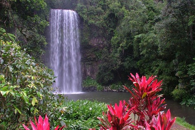 Atherton Tablelands and Waterfalls Full-Day Tour From Cairns  – Cairns & the Tropical North