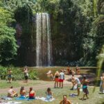 1 atherton tablelands waterfalls and rainforest tour from cairns Atherton Tablelands, Waterfalls and Rainforest Tour From Cairns