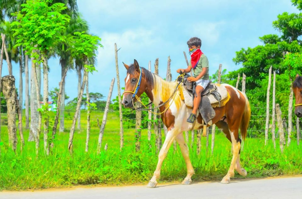 1 atv ride cenote chocolate coffee tasting horse back ride ATV Ride Cenote, Chocolate, Coffee Tasting & Horse Back Ride