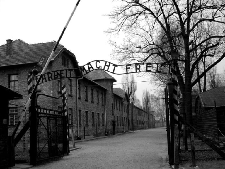 Auschwitz-Birkenau & Salt Mine Tour in One Day From Krakow