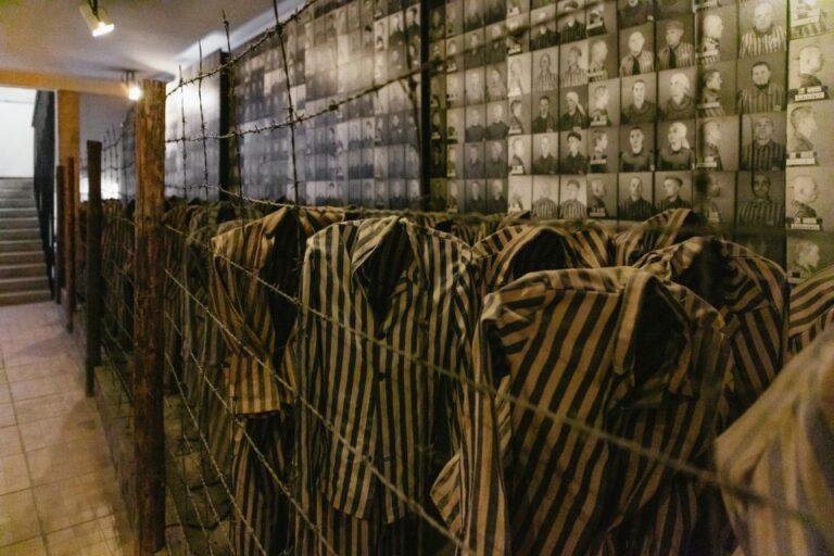 Auschwitz-Birkenau: Skip-the-Line Entry Ticket & Guided Tour