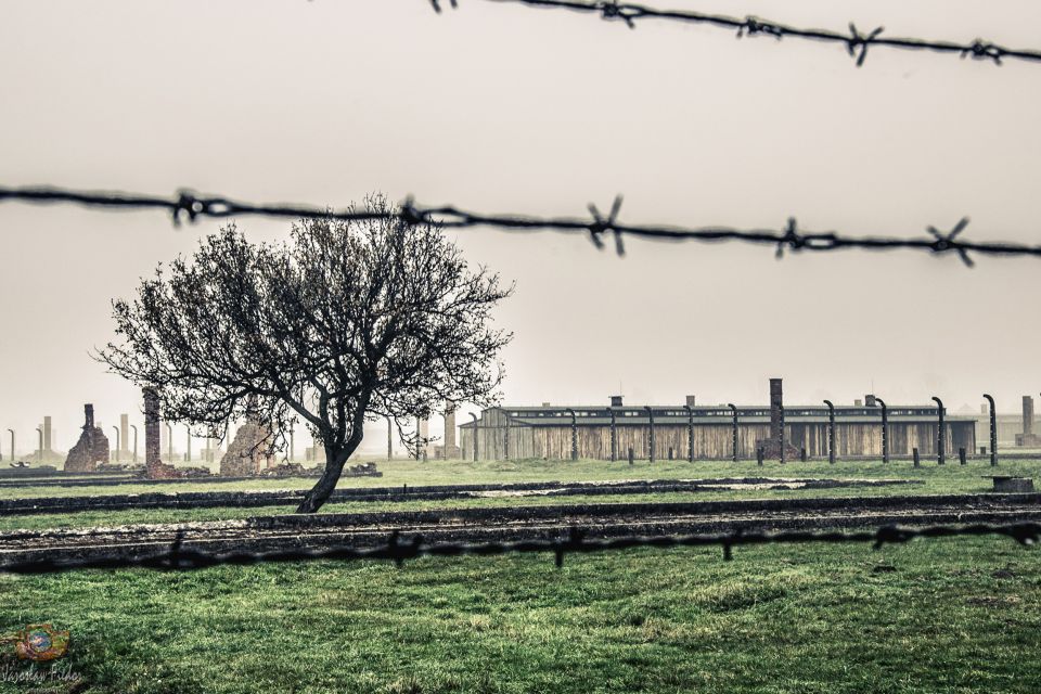 1 auschwitz birkenau skip the line entry ticket guided tour Auschwitz-Birkenau: Skip-the-Line Entry Ticket & Guided Tour