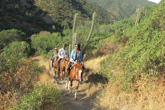 Authentic Horseback Ride With Chilean Cowboys in the Andes Close to Santiago!