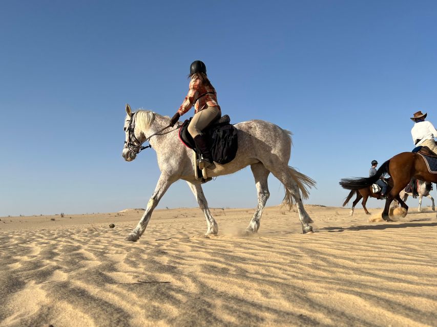 1 authentic tozeur on horseback with private transfer Authentic Tozeur on Horseback With Private Transfer