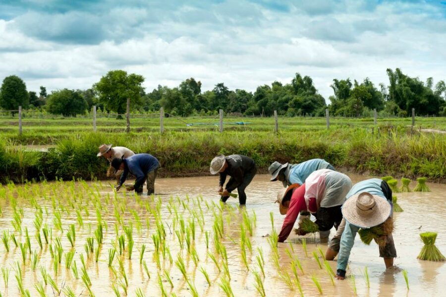 1 back to basics siem reap village tour in cambodia Back to Basics: Siem Reap Village Tour in Cambodia