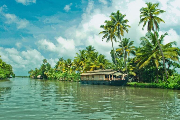 Backwater Houseboat and Fort Kochi Tour From Cochin Port