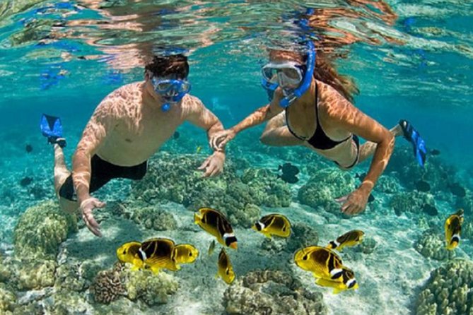 Bali ATV Blue Lagoon Snorkeling Private Guided Tour Free WiFi