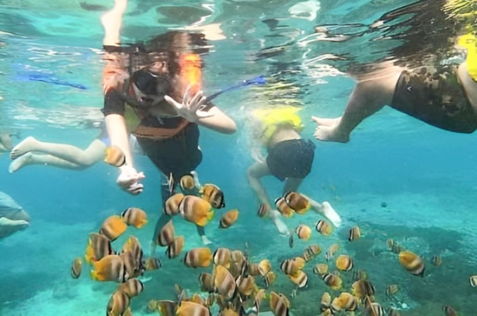 1 bali blue lagoon beach snorkeling tour with lunch Bali: Blue Lagoon Beach Snorkeling Tour With Lunch