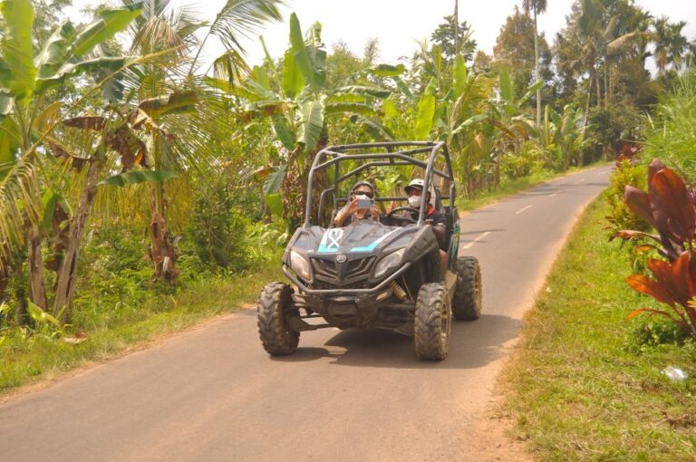 Bali Buggy Discovery Tours