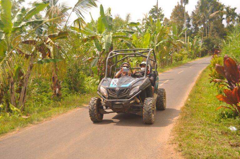 Bali Buggy Discovery Tours Tandem Adult