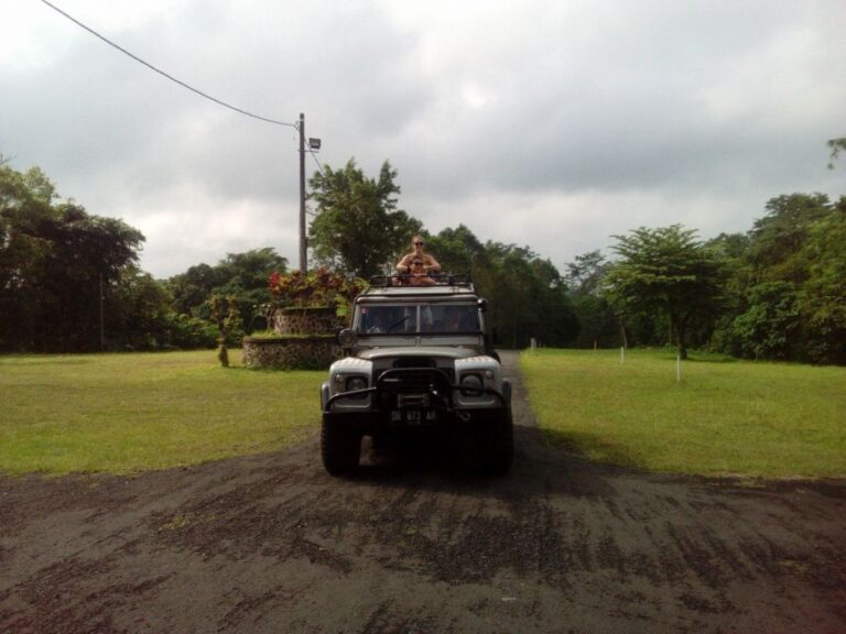 Bali: Highlights Jungle Tour With 4WD Jeep Car