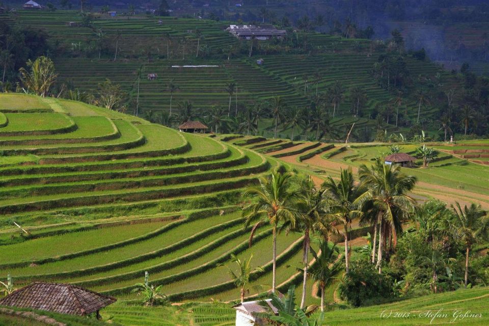 1 bali north island private day tour with banyumala waterfall Bali: North Island Private Day Tour With Banyumala Waterfall