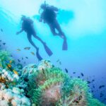 1 bali padangbai blue lagoon beginners dive experience Bali: Padangbai Blue Lagoon Beginner's Dive Experience