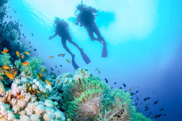 Bali: Padangbai Blue Lagoon Beginner’s Dive Experience
