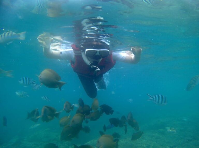 Bali: Private Snorkeling To Blue Lagoon And Tanjung Jepun