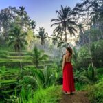 1 bali private tour best of ubud all inclusive Bali Private Tour - Best of Ubud - All Inclusive