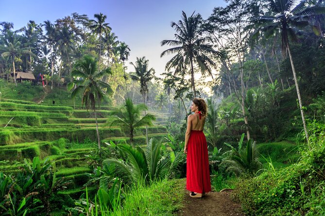 1 bali private tour best of ubud all inclusive Bali Private Tour - Best of Ubud - All Inclusive