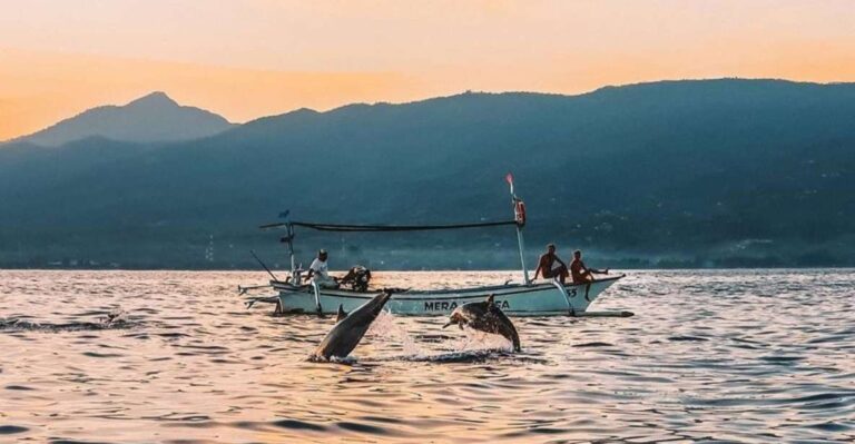 Bali: Swim With Dolphins, Ulundanu Bratan & Scenic Waterfall