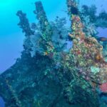 1 bali tulamben bay and the usat liberty wreck dive Bali: Tulamben Bay and the USAT Liberty Wreck Dive