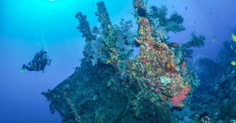 Bali: Tulamben Bay and the USAT Liberty Wreck Dive