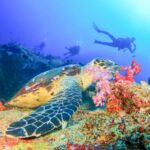 1 bali tulamben bay beginners dive experience Bali: Tulamben Bay Beginner's Dive Experience