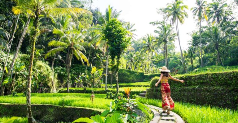 Bali: Ubud Adventure: Rice Terraces, Monkey Forest & Falls