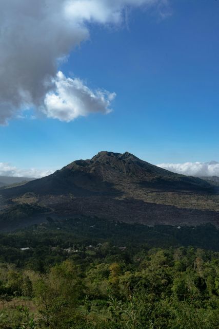 Bali Volkswagen Safari and Kintamani Volcano Tour