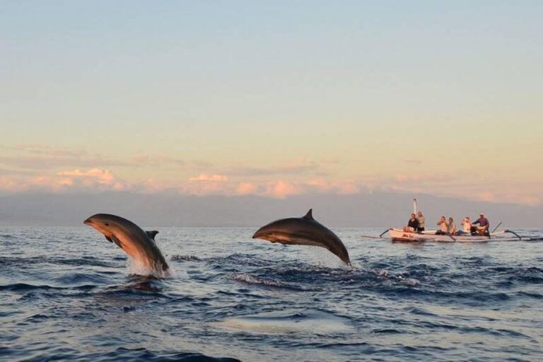 Bali: Watching Dolphin,Snorkeling & Hot Spring