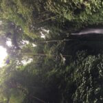 1 bali waterfalls quest discover 4 waterfalls in 1 day Bali Waterfalls Quest, Discover 4 Waterfalls in 1 Day