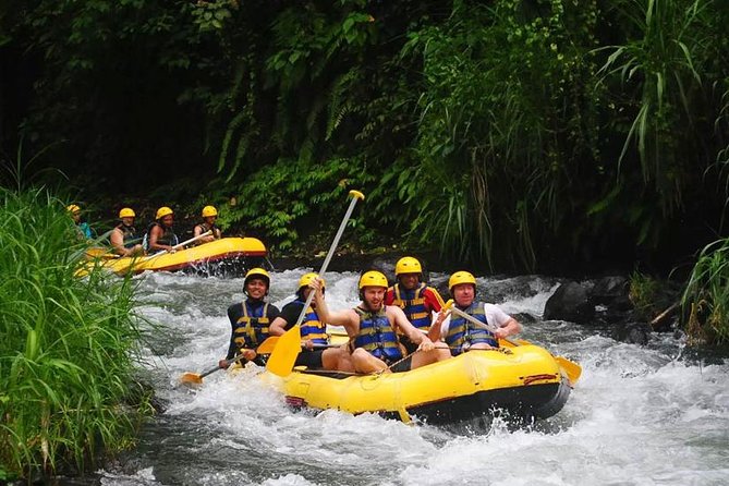 Bali White Water Rafting With Transfer & Lunch (Less Stairs)