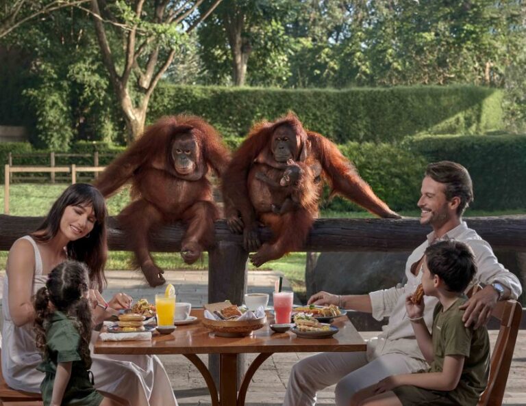 Bali Zoo: Breakfast With the Orangutans