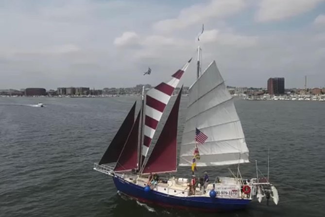 1 baltimore inner harbor sail on summer wind Baltimore Inner Harbor Sail on Summer Wind
