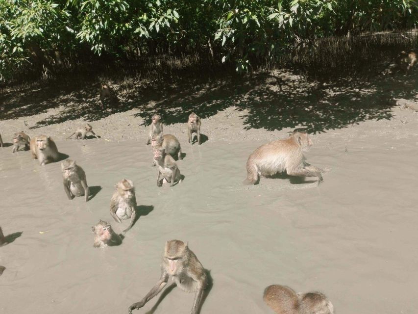 1 bangkok damnoen saduakmaeklongklong khon private tour Bangkok: Damnoen SaduakMaeklongKlong Khon Private Tour