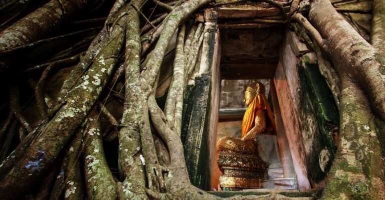Bangkok: Dragon Temple, Roots Temple and Amphawa in Spanish