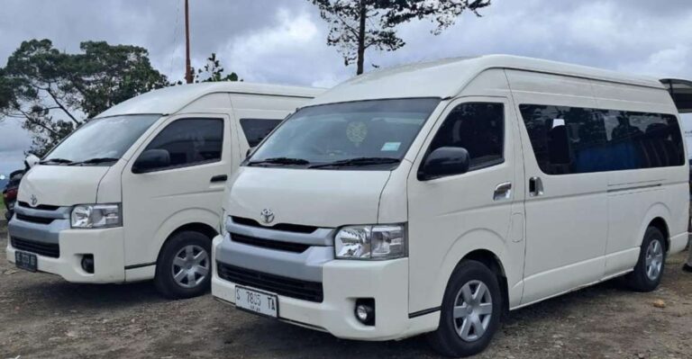 Banyuwangi: Private Car Charter Professional Driver by Van