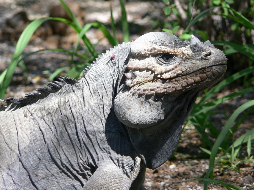 1 barahona lake enriquillo discovery tour Barahona: Lake Enriquillo Discovery Tour