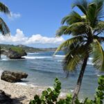 1 barbados coastal sightseeing tour with lunch and transfers Barbados: Coastal Sightseeing Tour With Lunch and Transfers