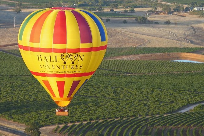 Barossa Valley Hot Air Balloon Ride With Breakfast
