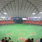 1 baseball experience in tokyo Baseball Experience in Tokyo