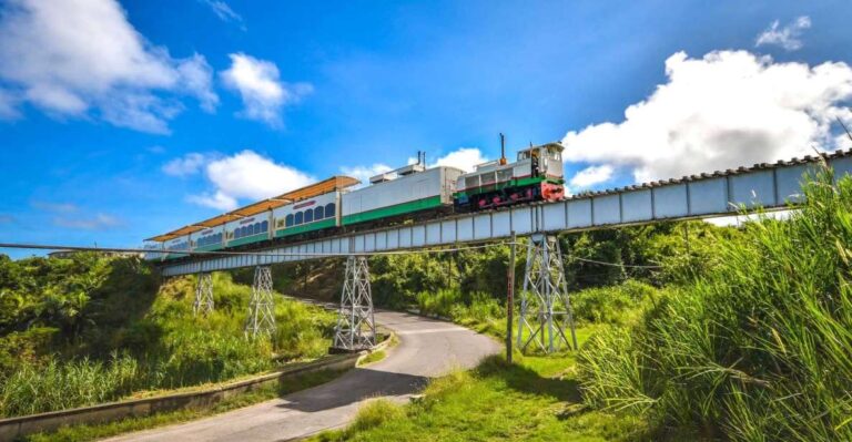 Basseterre: St. Kitts Scenic Railway Day Trip With Drinks