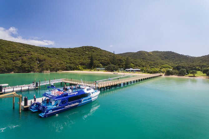 1 bay of islands discovery experience from auckland incl hole in the rock cruise Bay of Islands Discovery Experience From Auckland Incl. Hole in the Rock Cruise