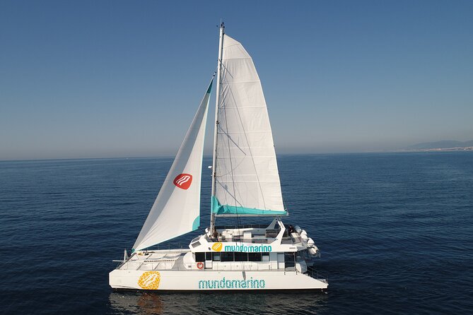 1 bay of malaga catamaran sailing Bay of Malaga Catamaran Sailing