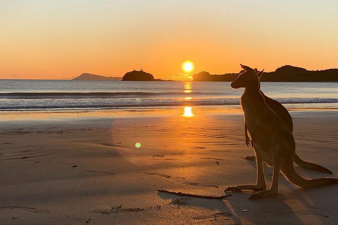 1 beach sunrise with the wallabies Beach Sunrise With the Wallabies