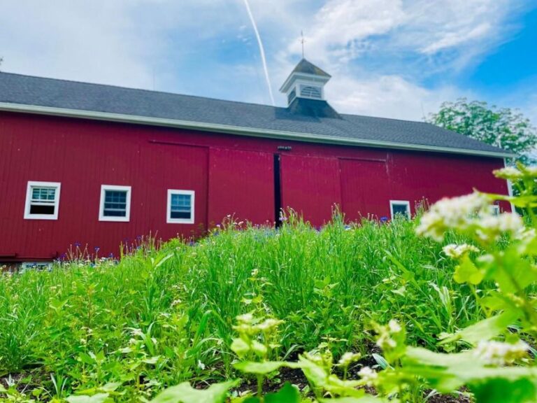 Beacon: Food & Farm Tour in the Hudson Valley